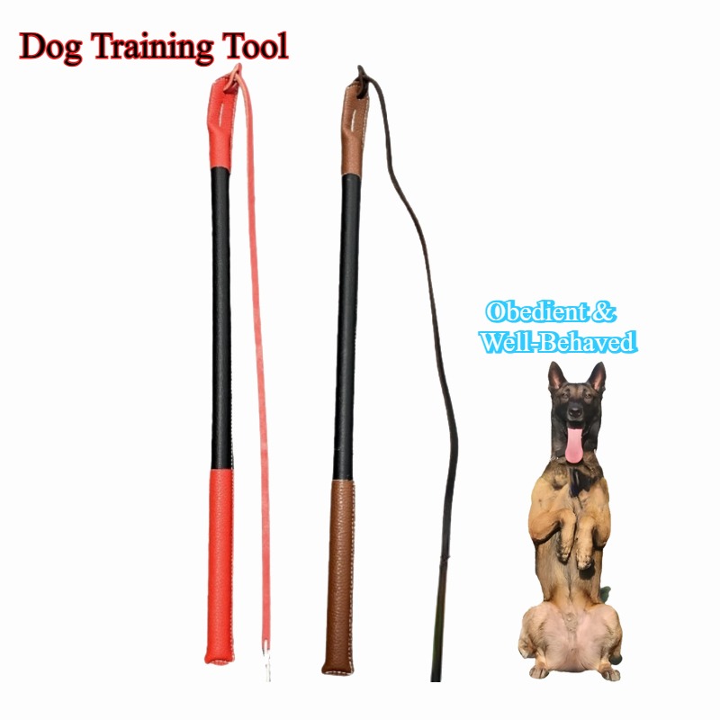 レザー製の鞭 - 犬の訓練ツール 犬の訓練用具 筋膜鞭 耐久 - Leatherwork Training のレビューと価格